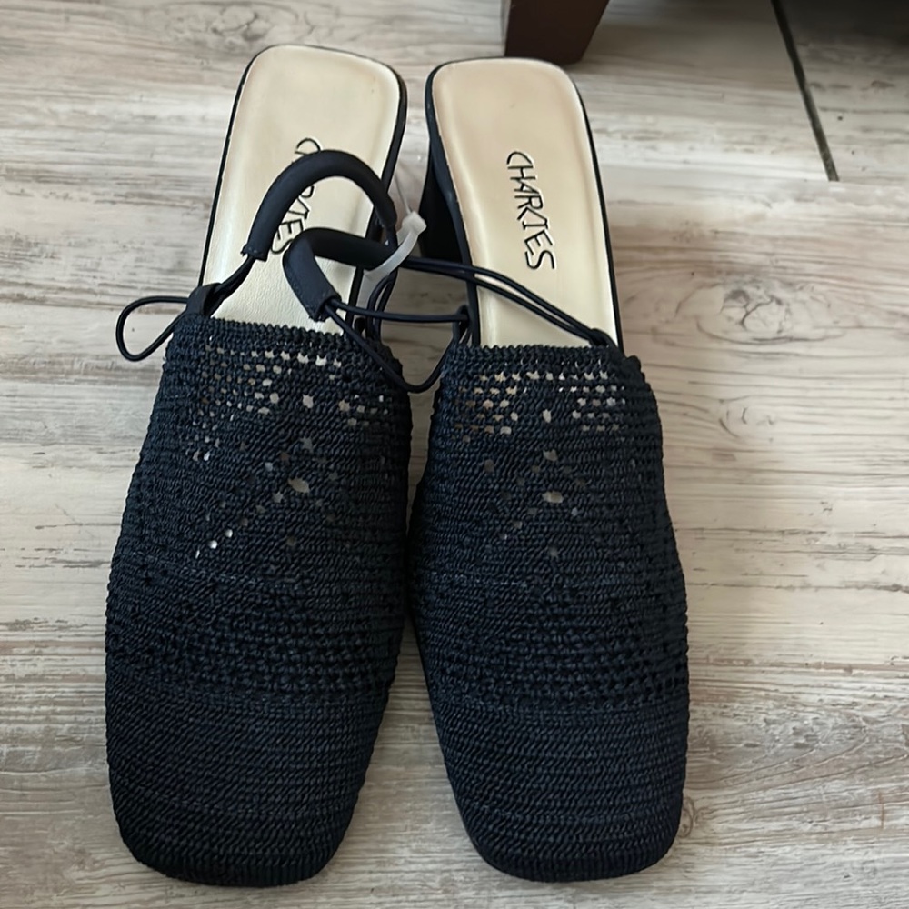 charlis sandals new size 10
